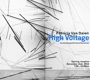 Invitation & Installation views | High Voltage | Patricia Van Dalen | Miami FL