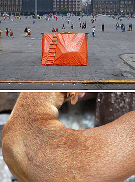 Artist and Work of Art | Stray Dog - Roberto Gómez | artmedia GALLERY - Miami FL - 305