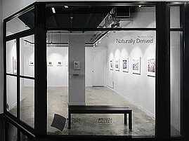 Invitation & Installation views | Naturally Derived | Humberto Torres | Miami FL