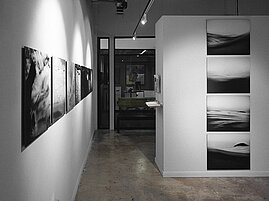 Invitation & Installation views | Disquieting force | José Diniz | Miami FL