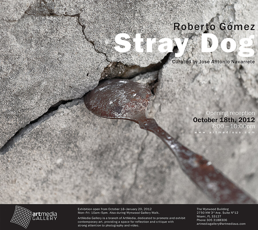 Invitation & Installation views | Stray Dog | Roberto Gómez | Miami FL